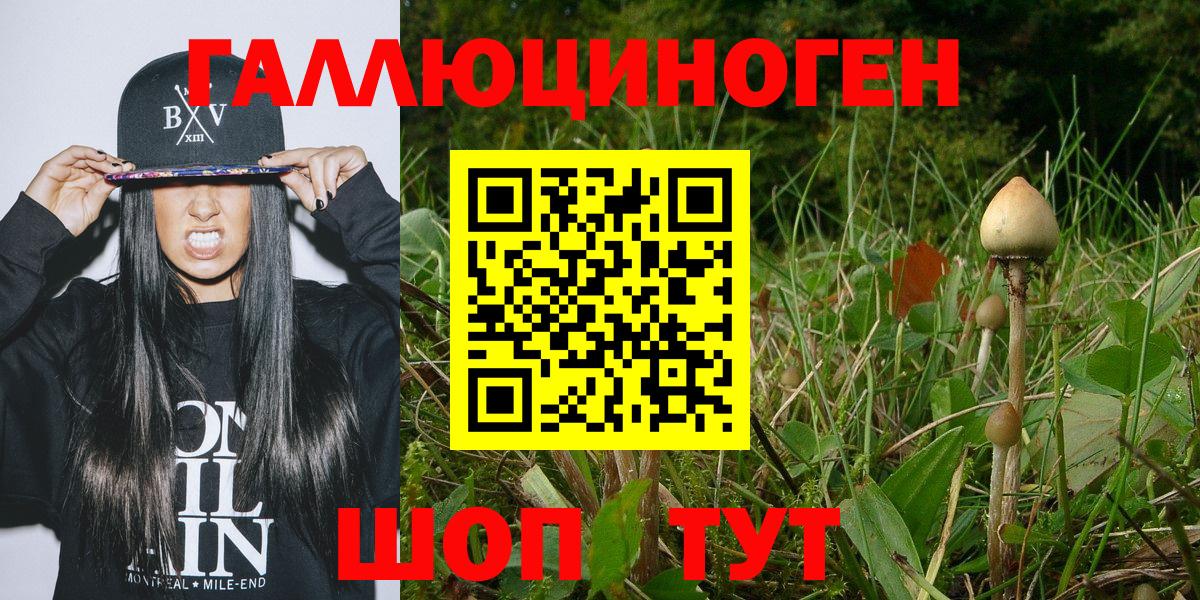 Псилоцибиновые грибы GOLDEN TEACHER  дарнет шоп  Сафоново  Галлюциногенные грибы прущие грибы  Вход с VPN 