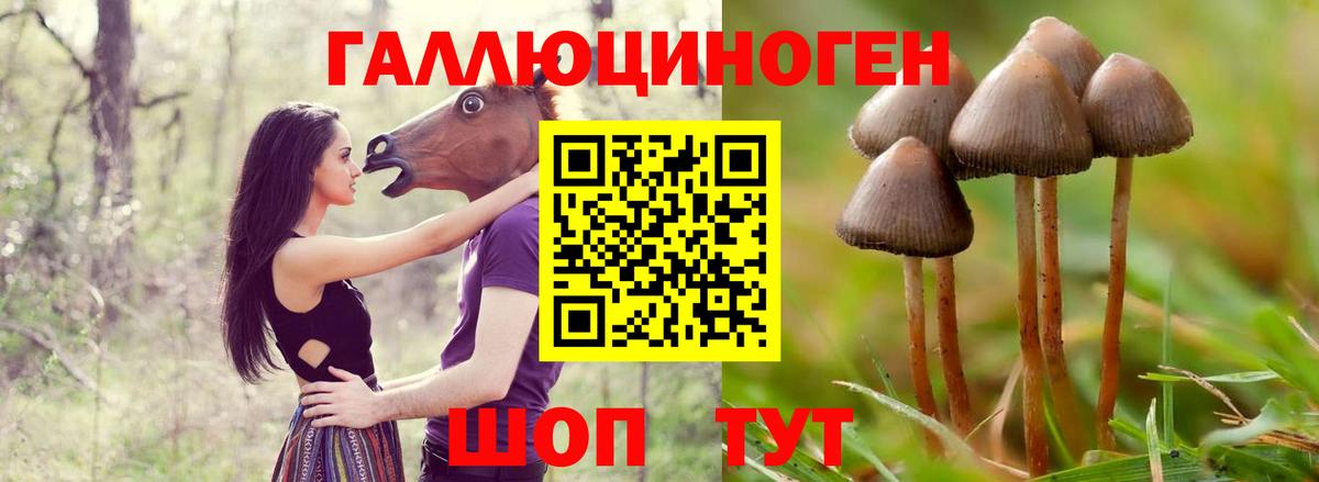 Галлюциногенные грибы Magic Shrooms Сафоново